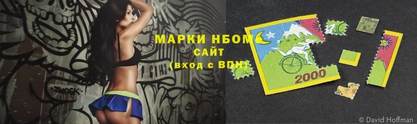 прущие грибы Богородицк