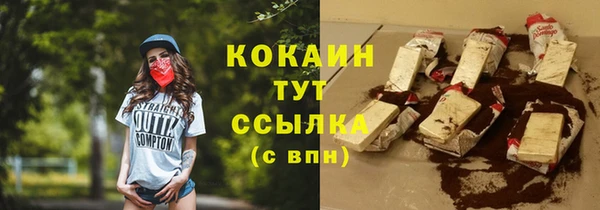 прущие грибы Богородицк