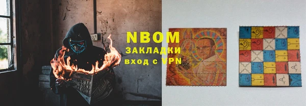 прущие грибы Богородицк