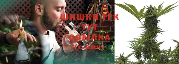 прущие грибы Богородицк