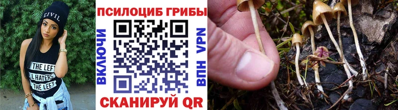 наркота  Медногорск  Галлюциногенные грибы мицелий 